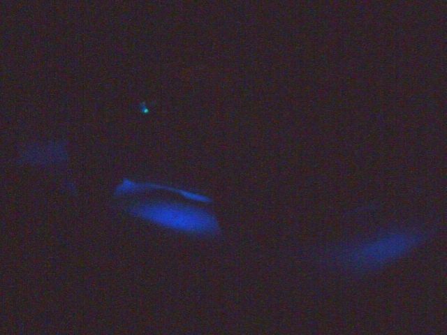 Ride Image