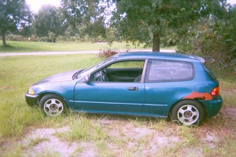 Full View