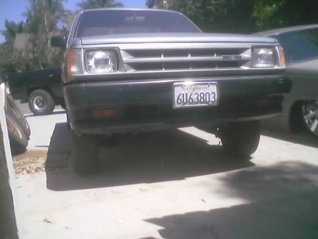 Full View