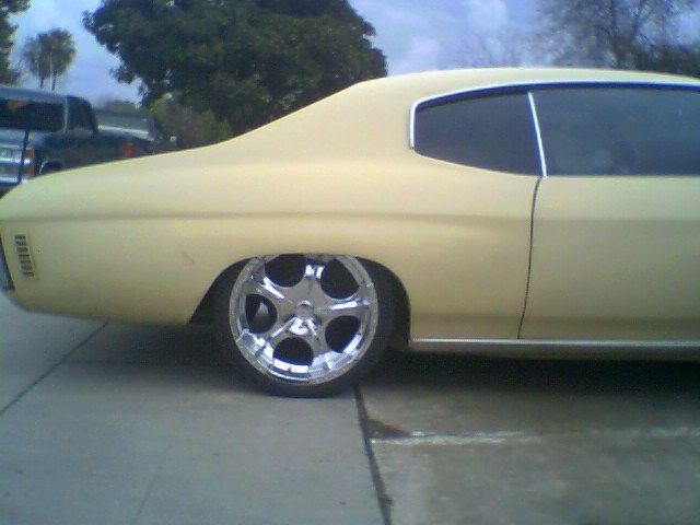 Full View