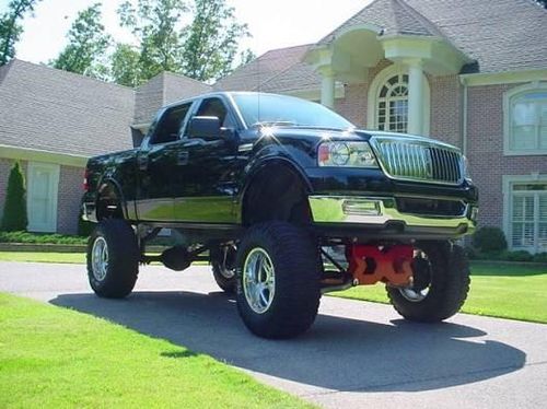bigfoot04s 2004 Ford  F150