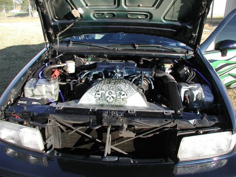 Full View