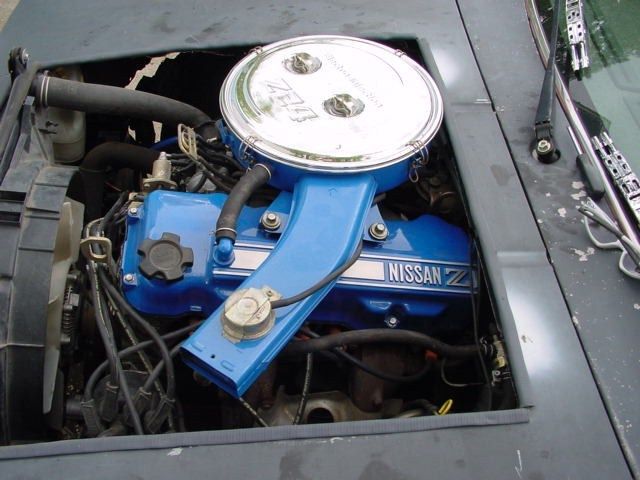 Full View