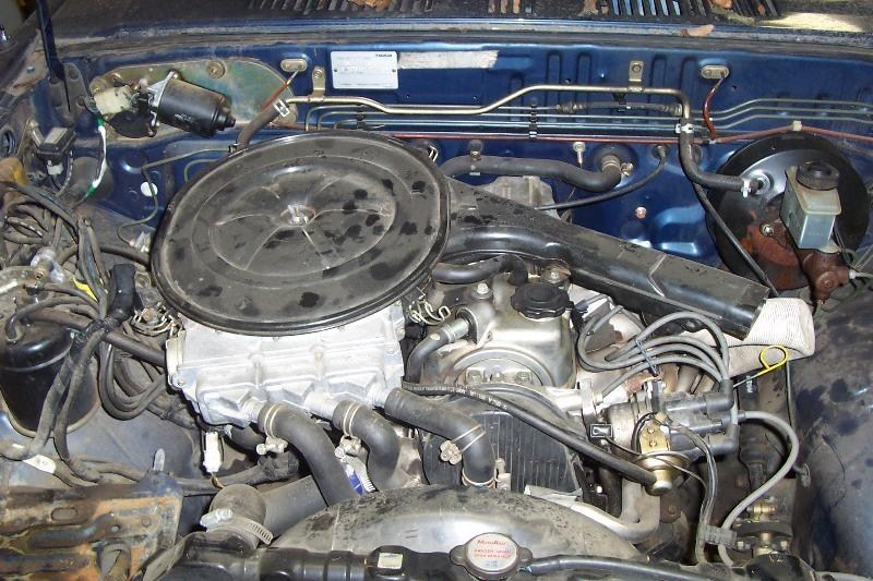 Full View