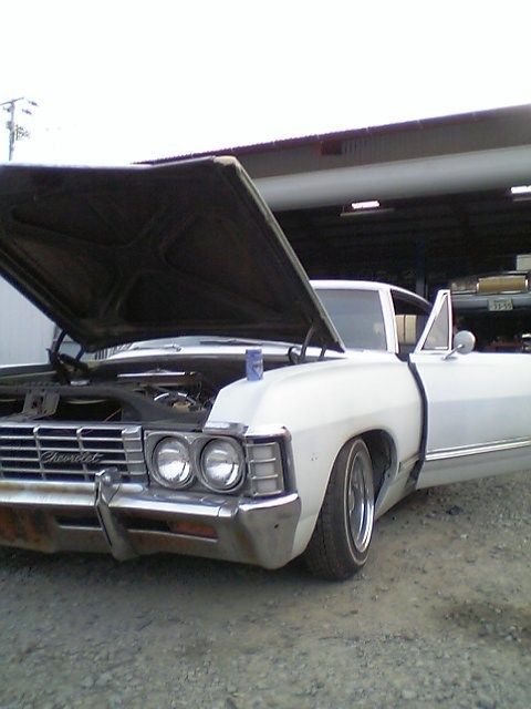 Full View