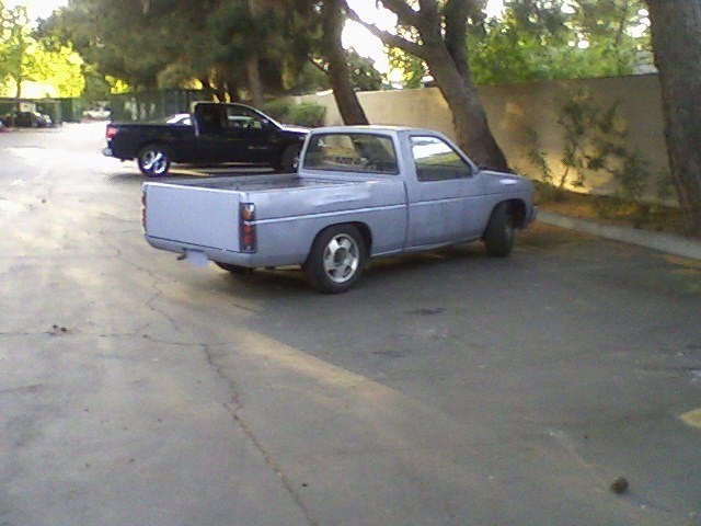 Full View