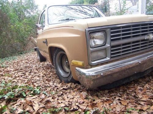 1983 Chevrolet C-10