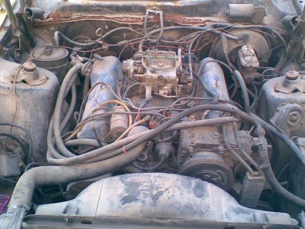 Full View