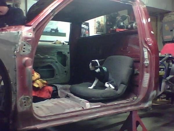 Full View