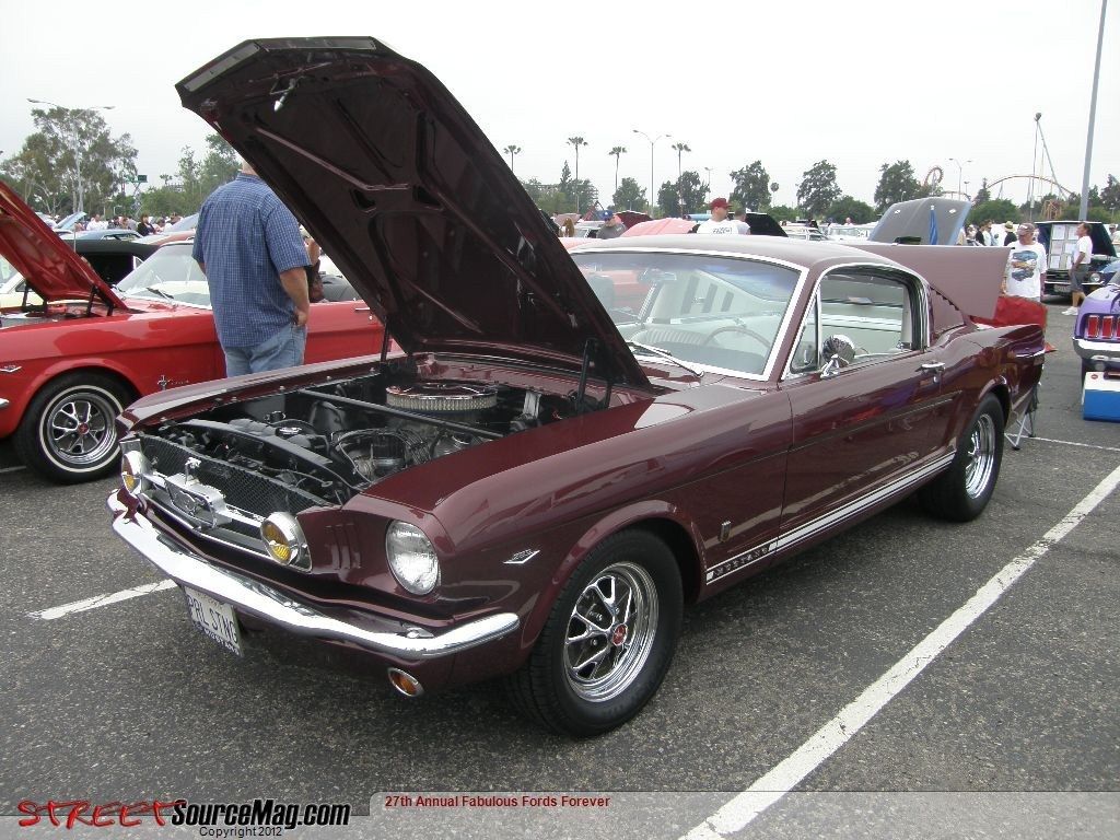 Full View