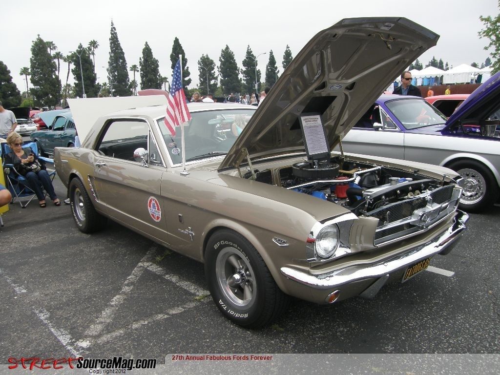 Full View
