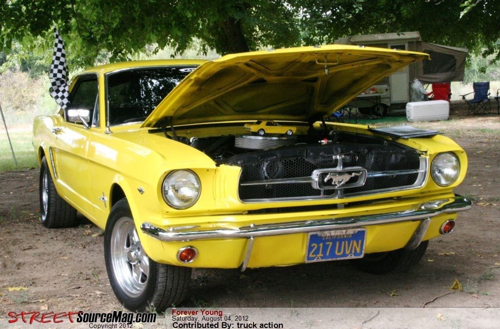Full View