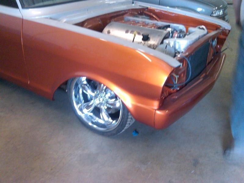 Full View