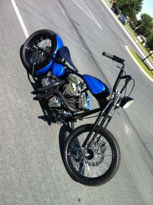 2011 Show Bikes other