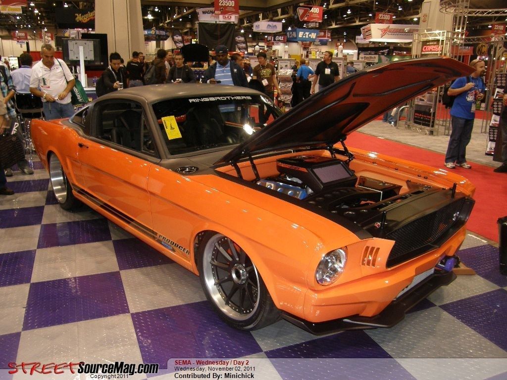 Full View