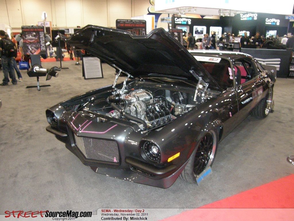 Full View