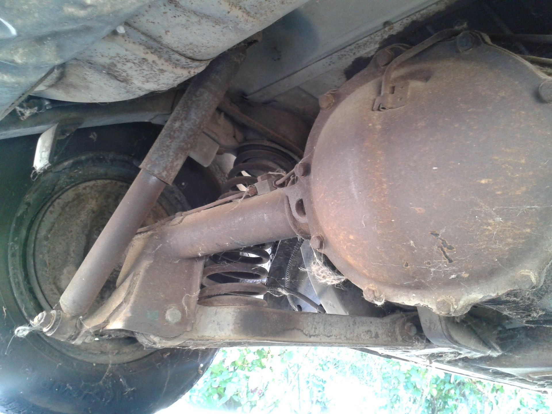 Full View
