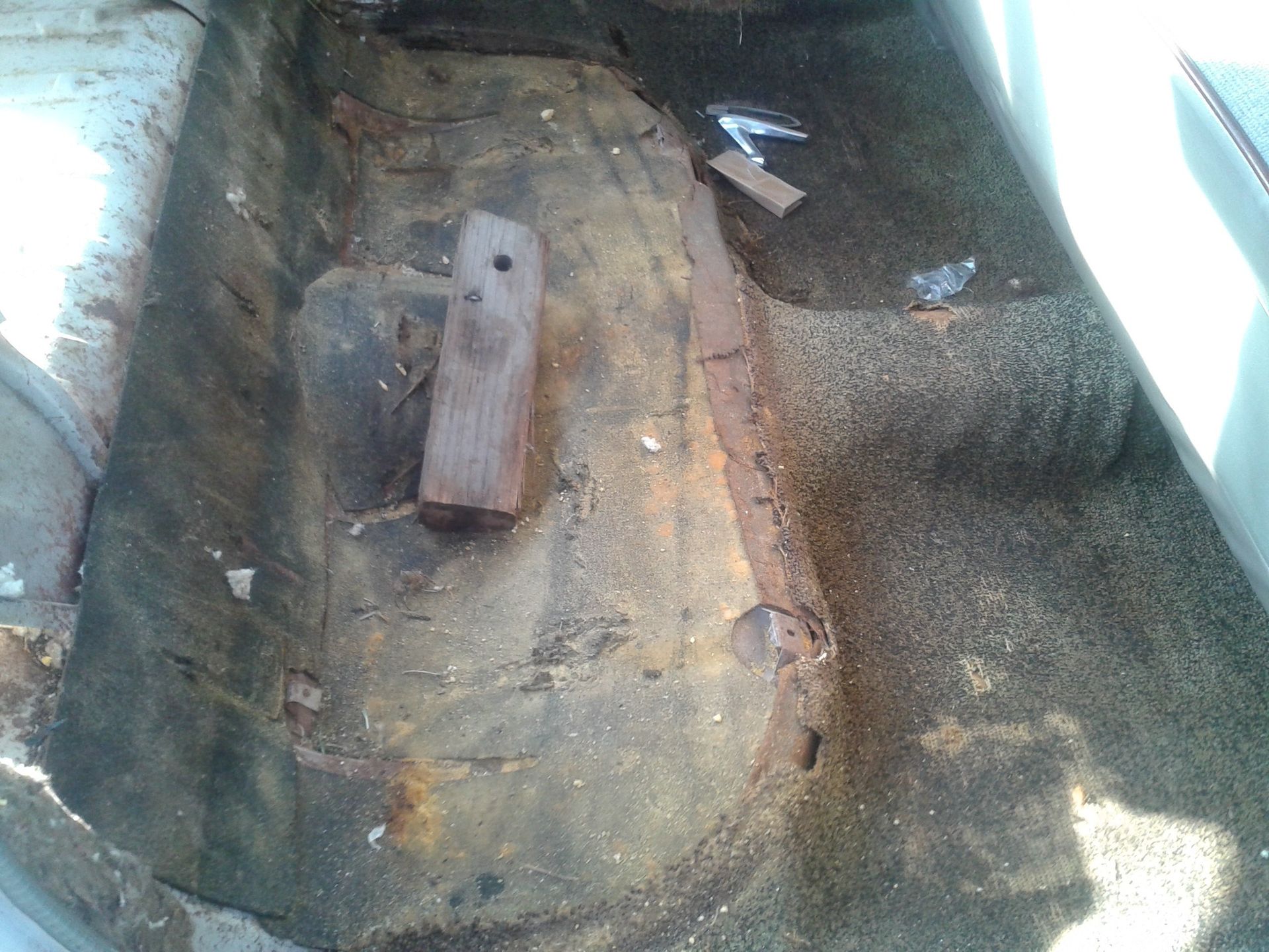 Full View