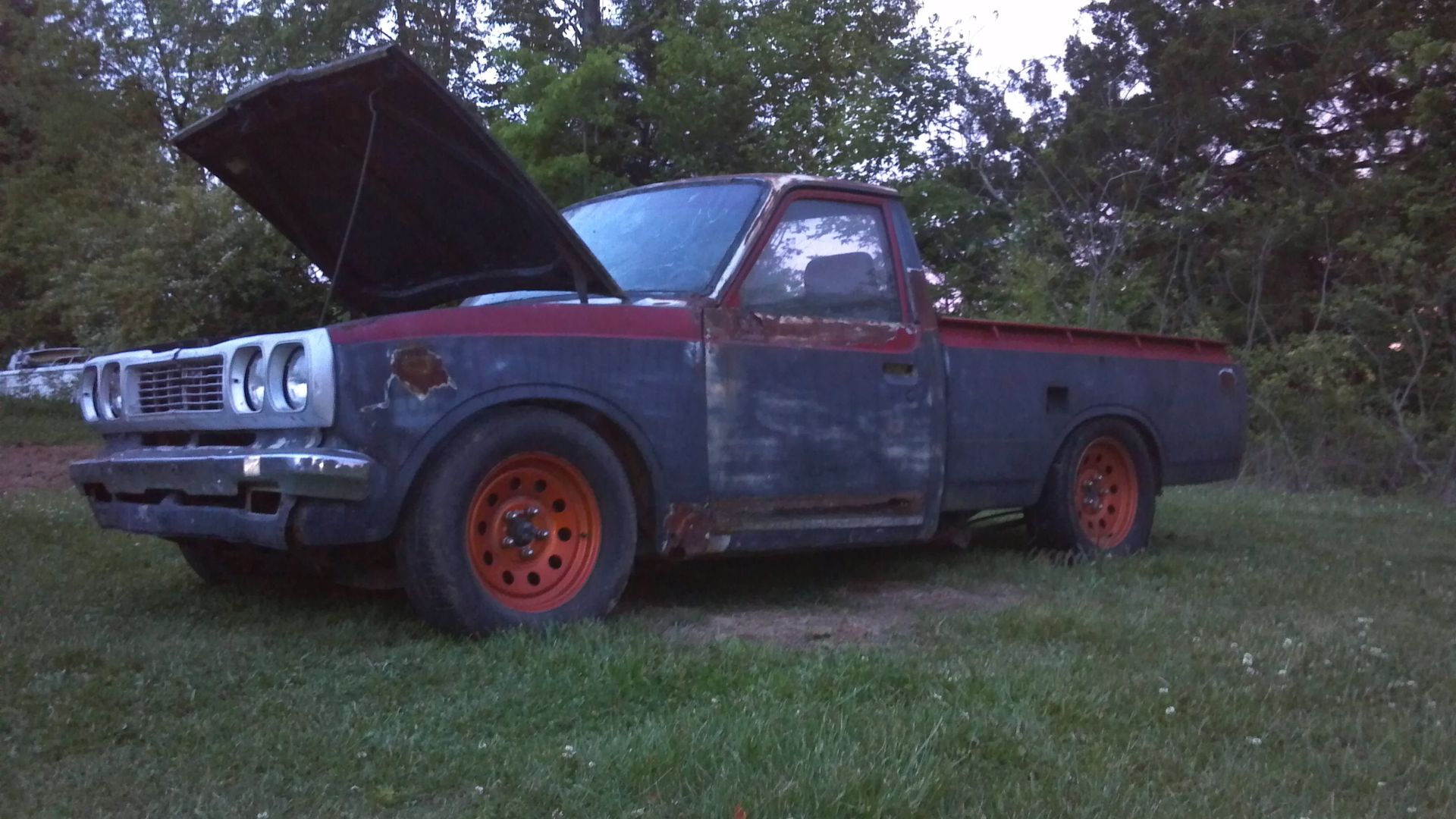 Full View