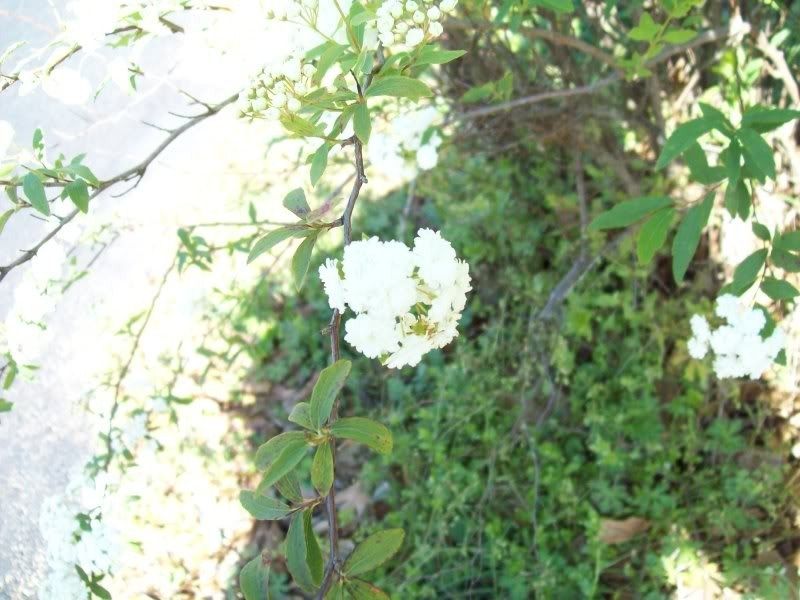post photo