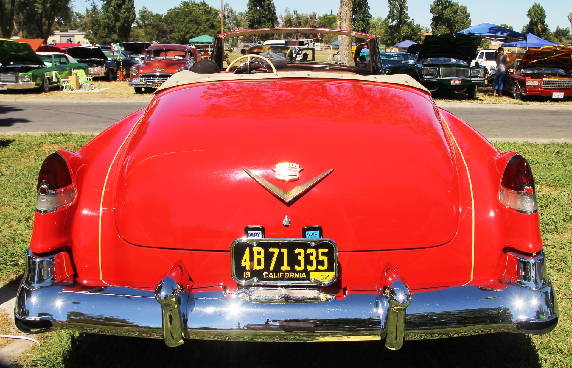 Full View
