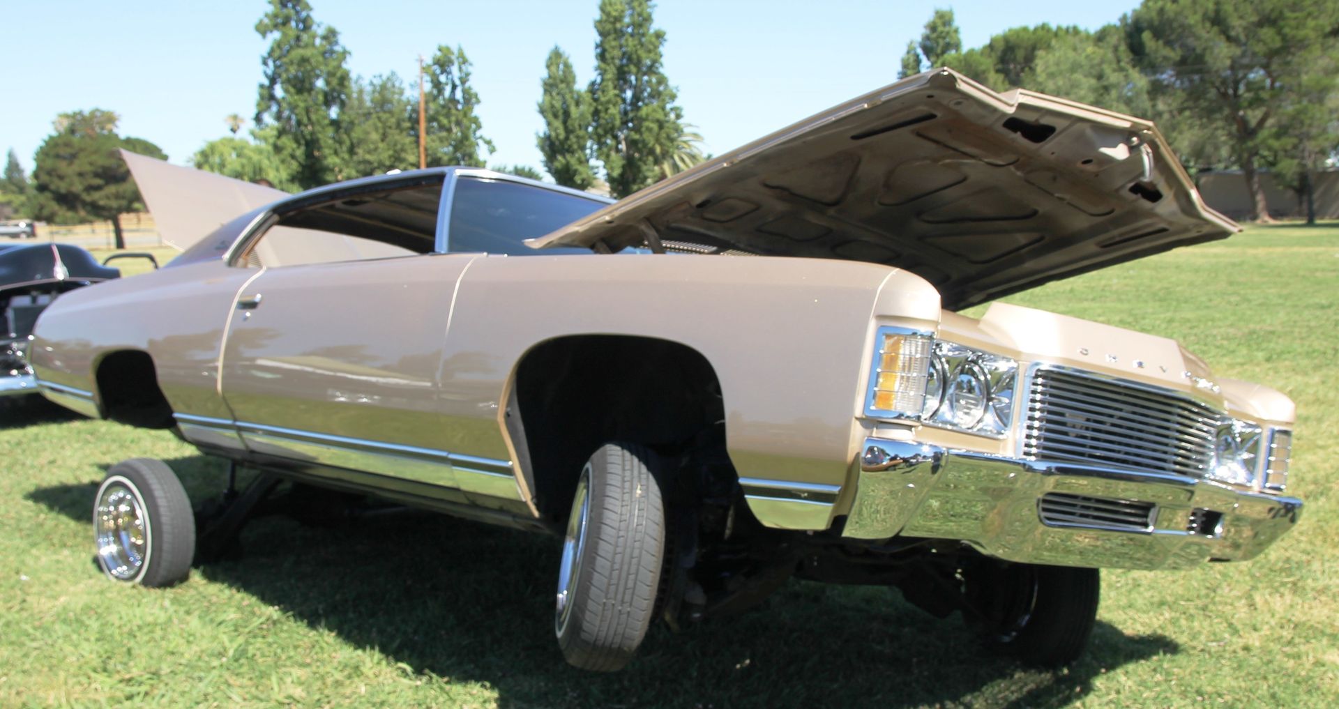 Full View