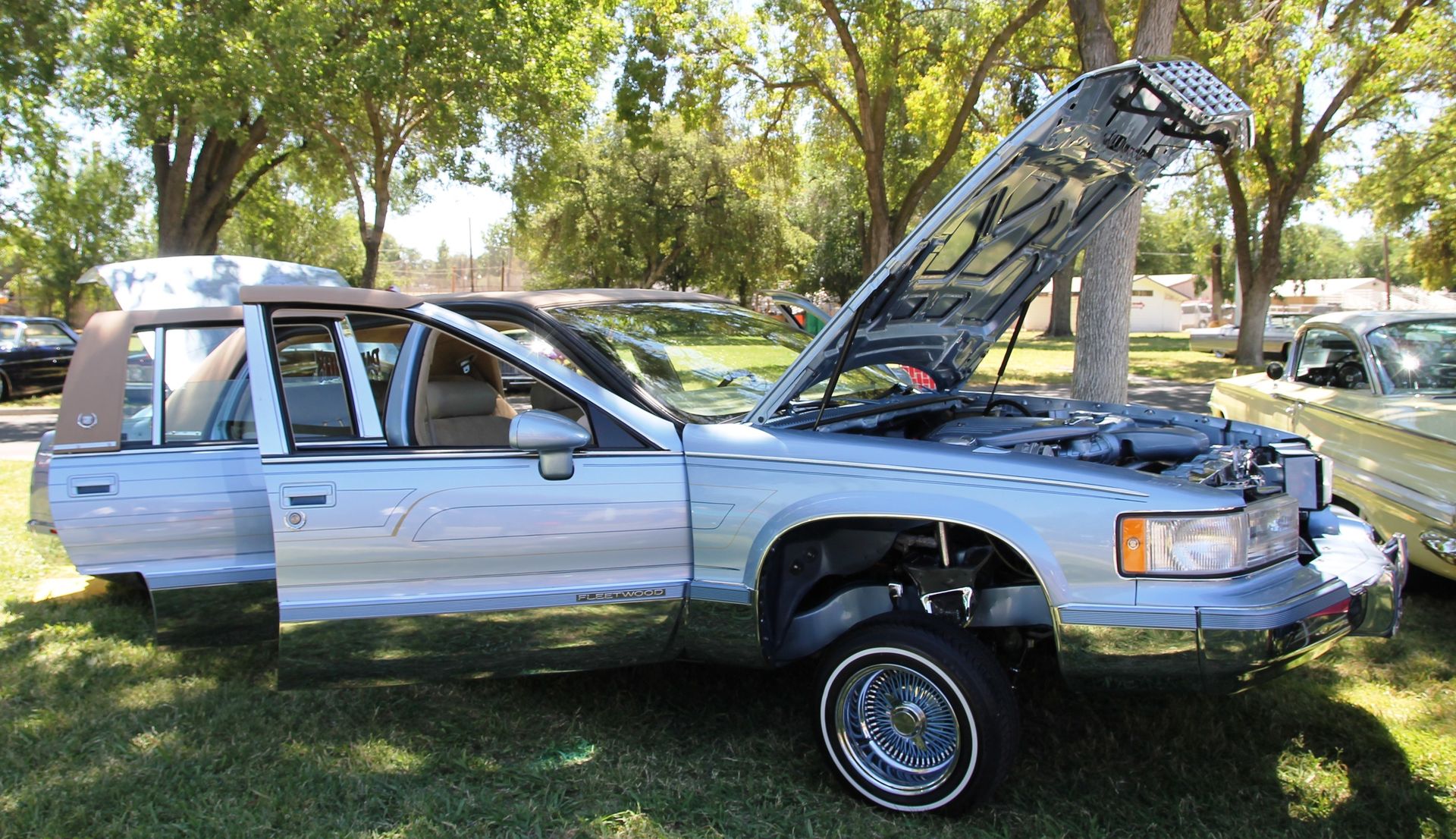 Full View