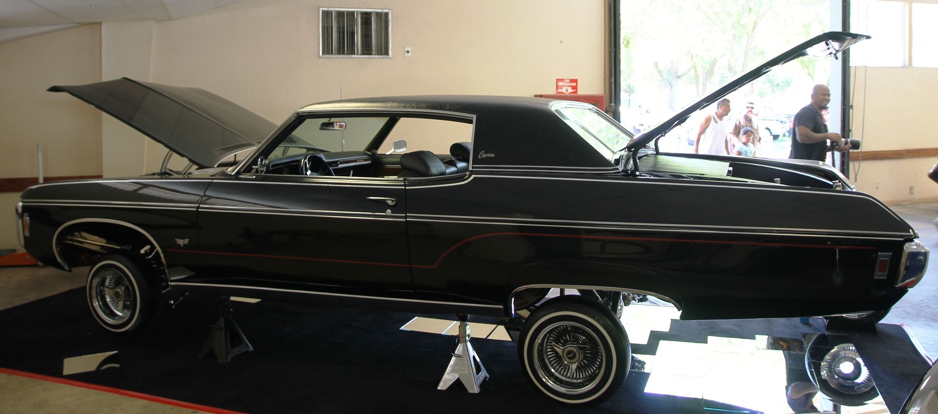 Full View