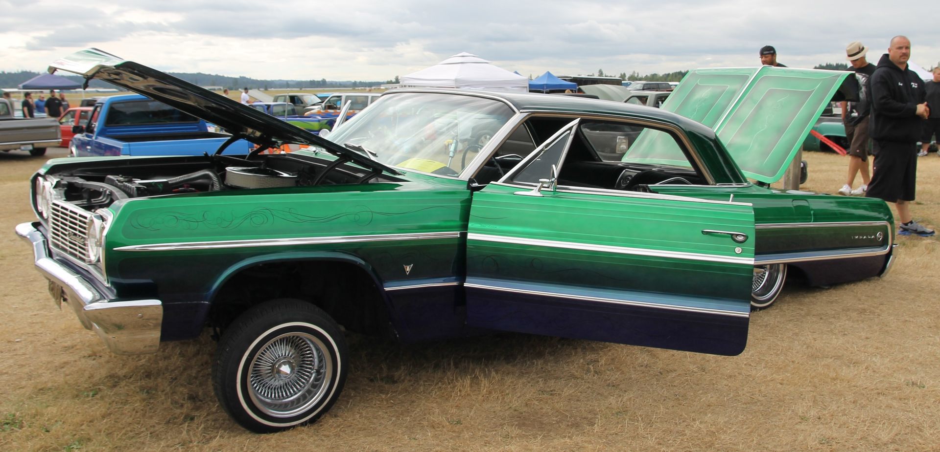 Full View