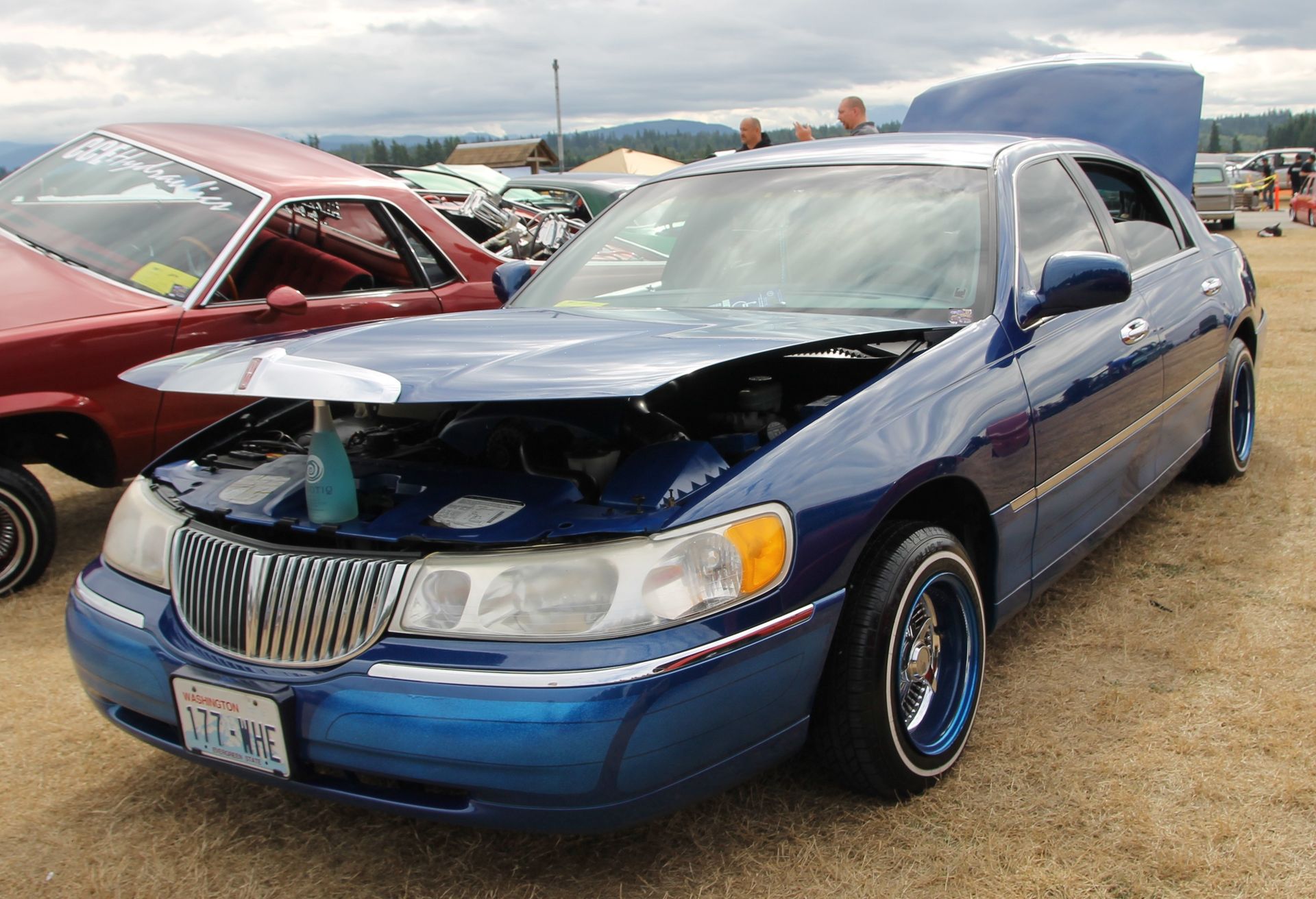 Full View