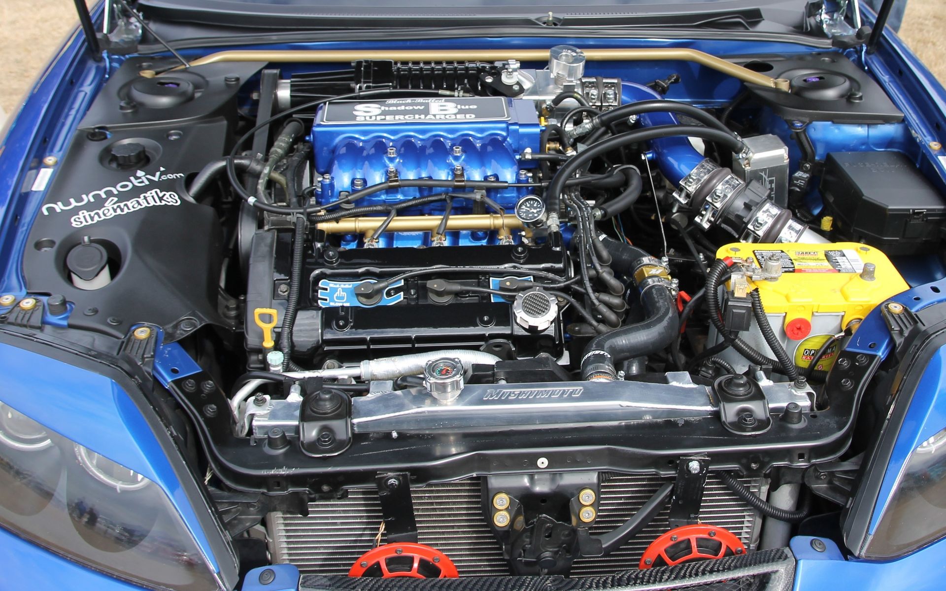 Full View