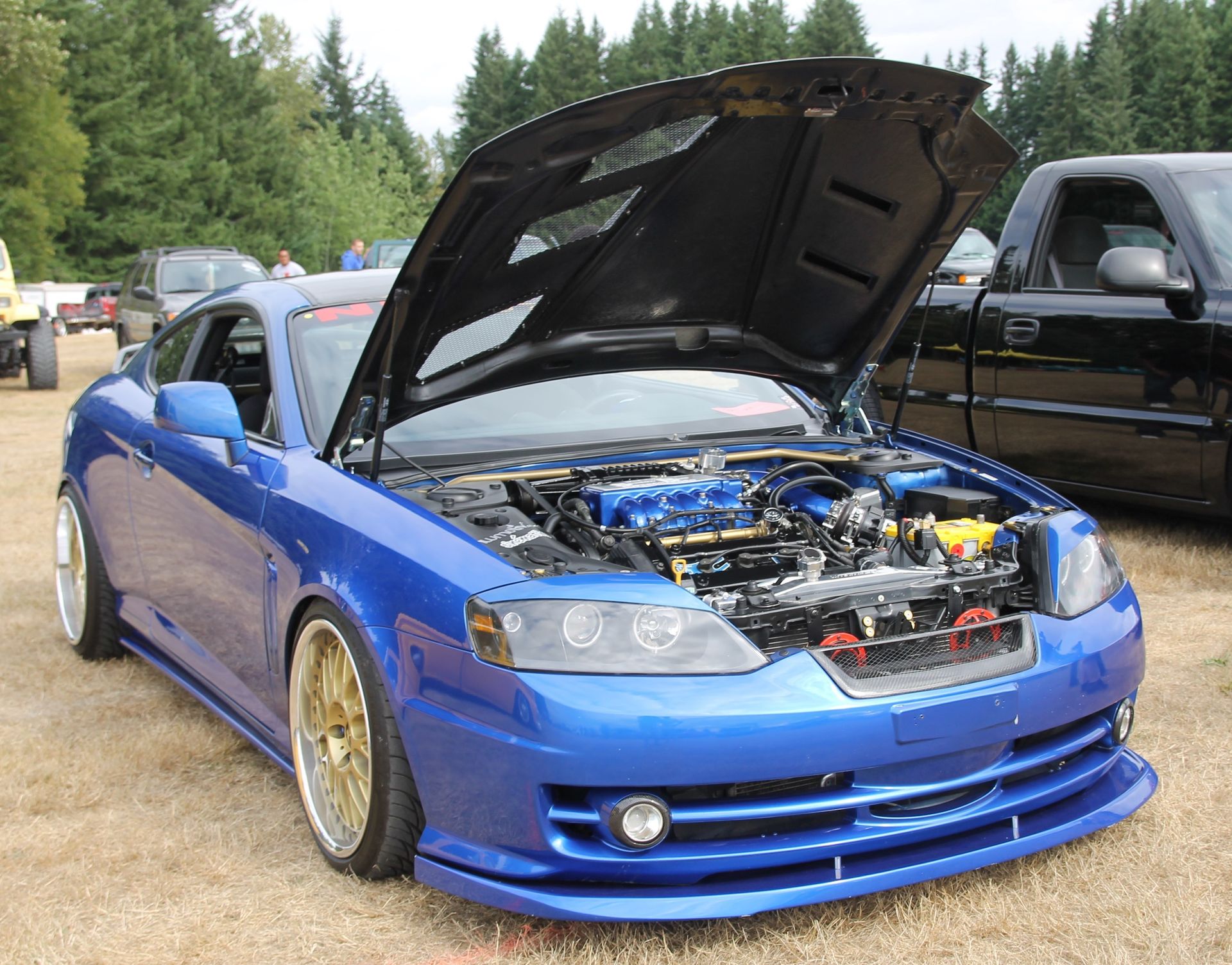 Full View