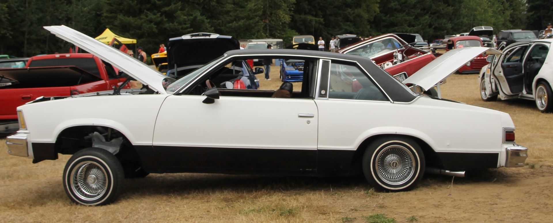 Full View