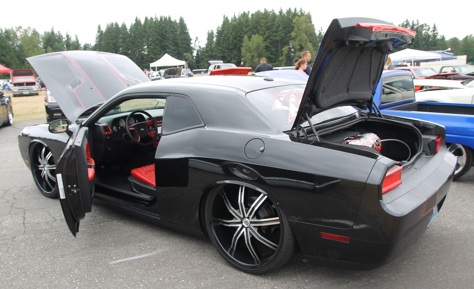 Full View