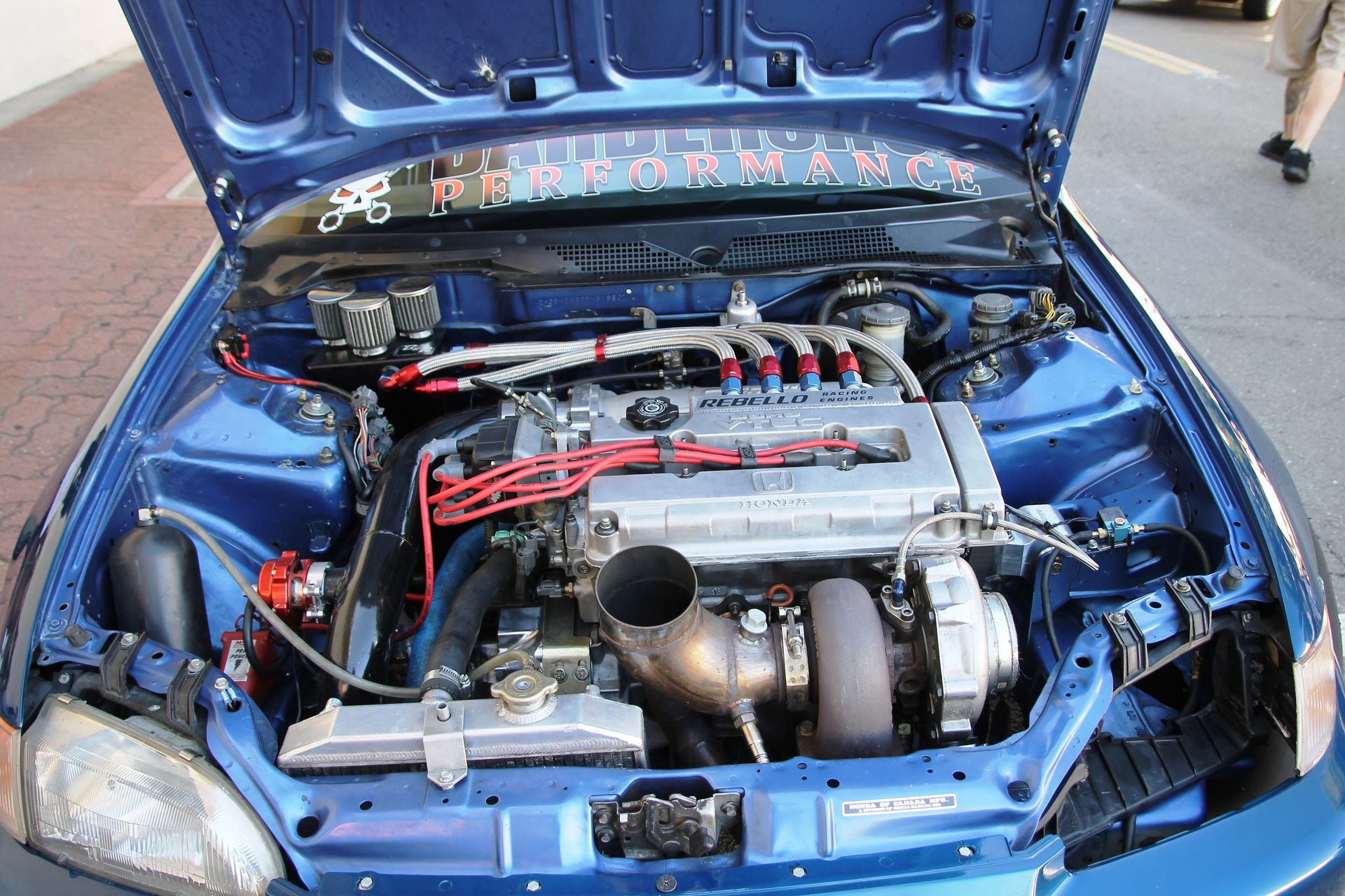 Full View