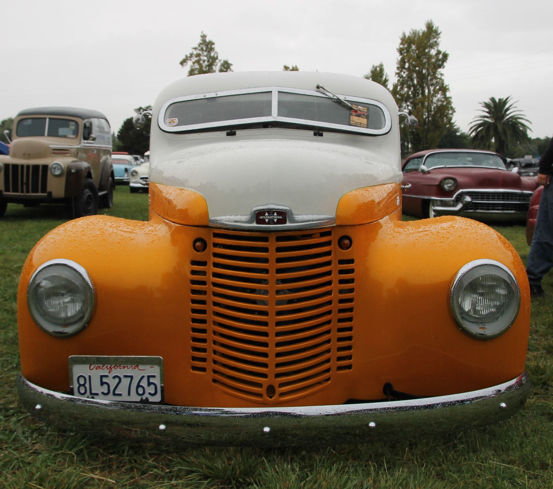 Full View