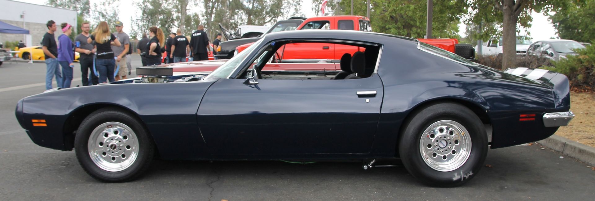 Full View