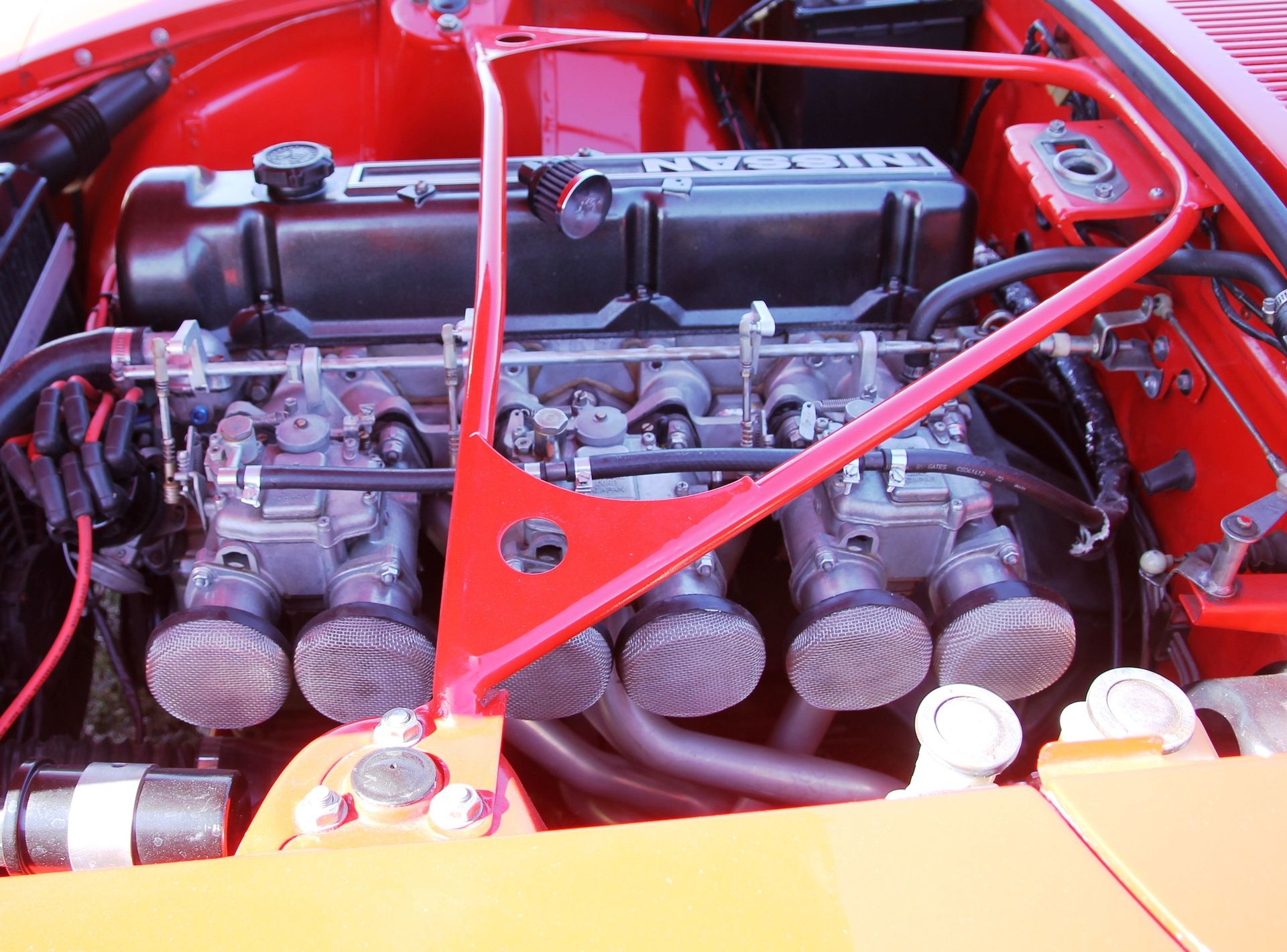 Full View