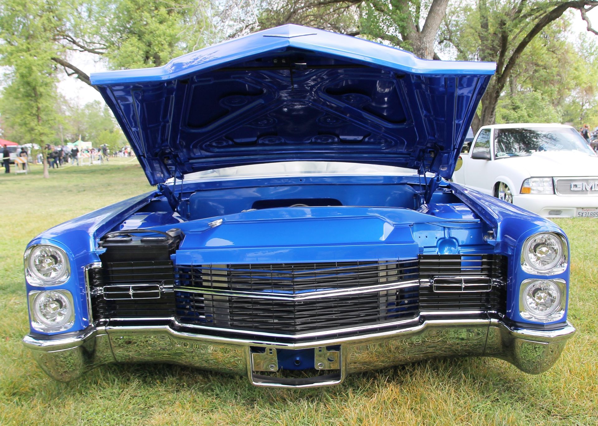 Full View