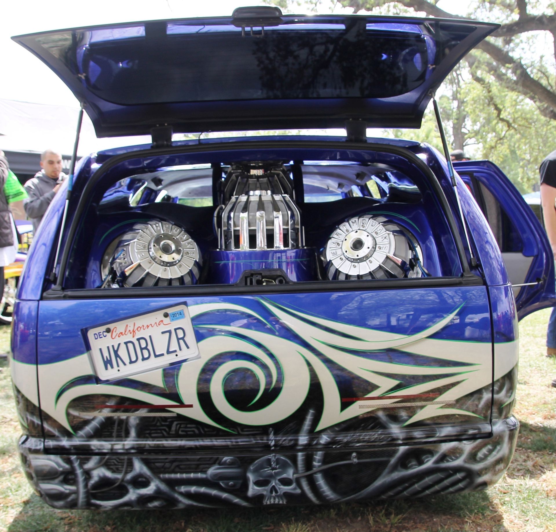 Full View