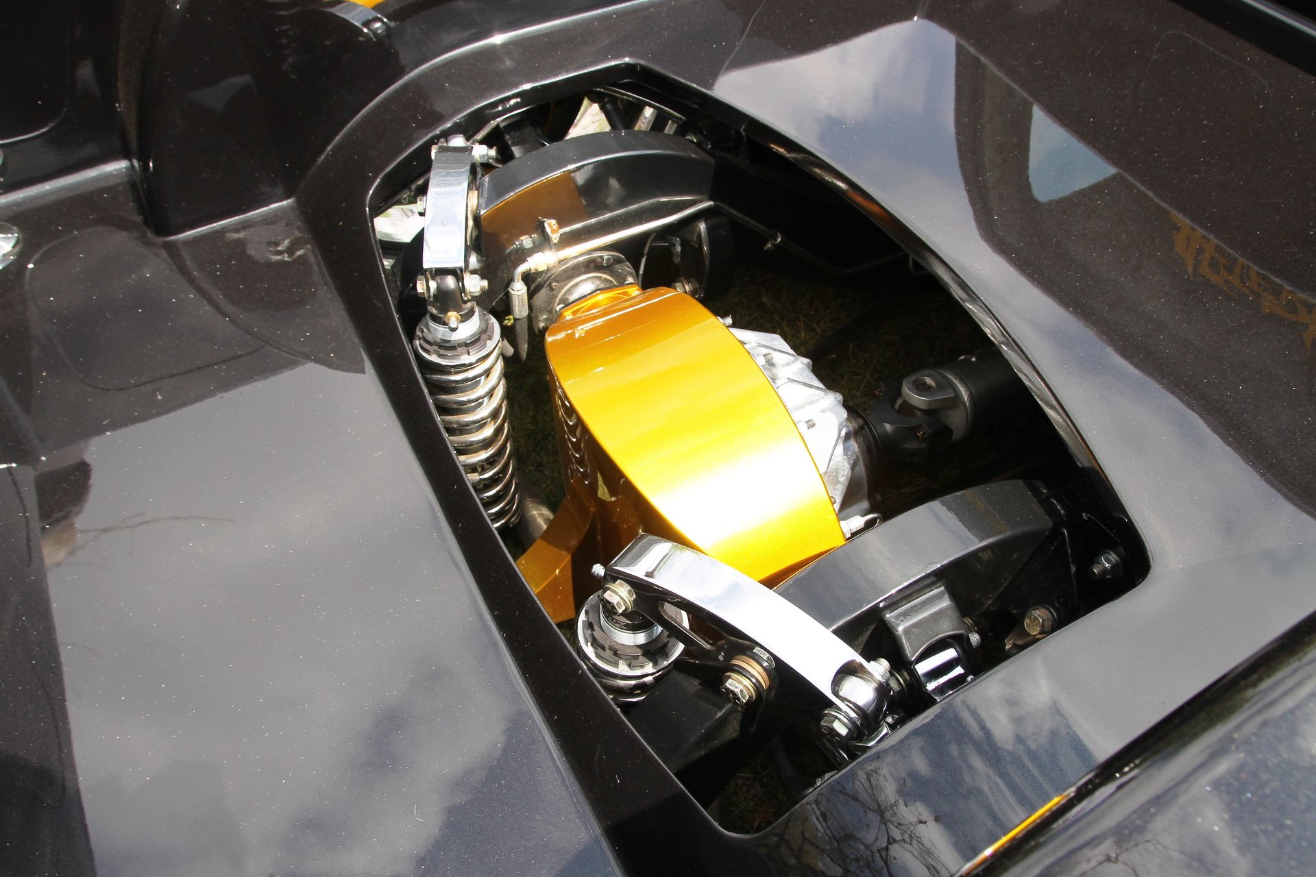 Full View