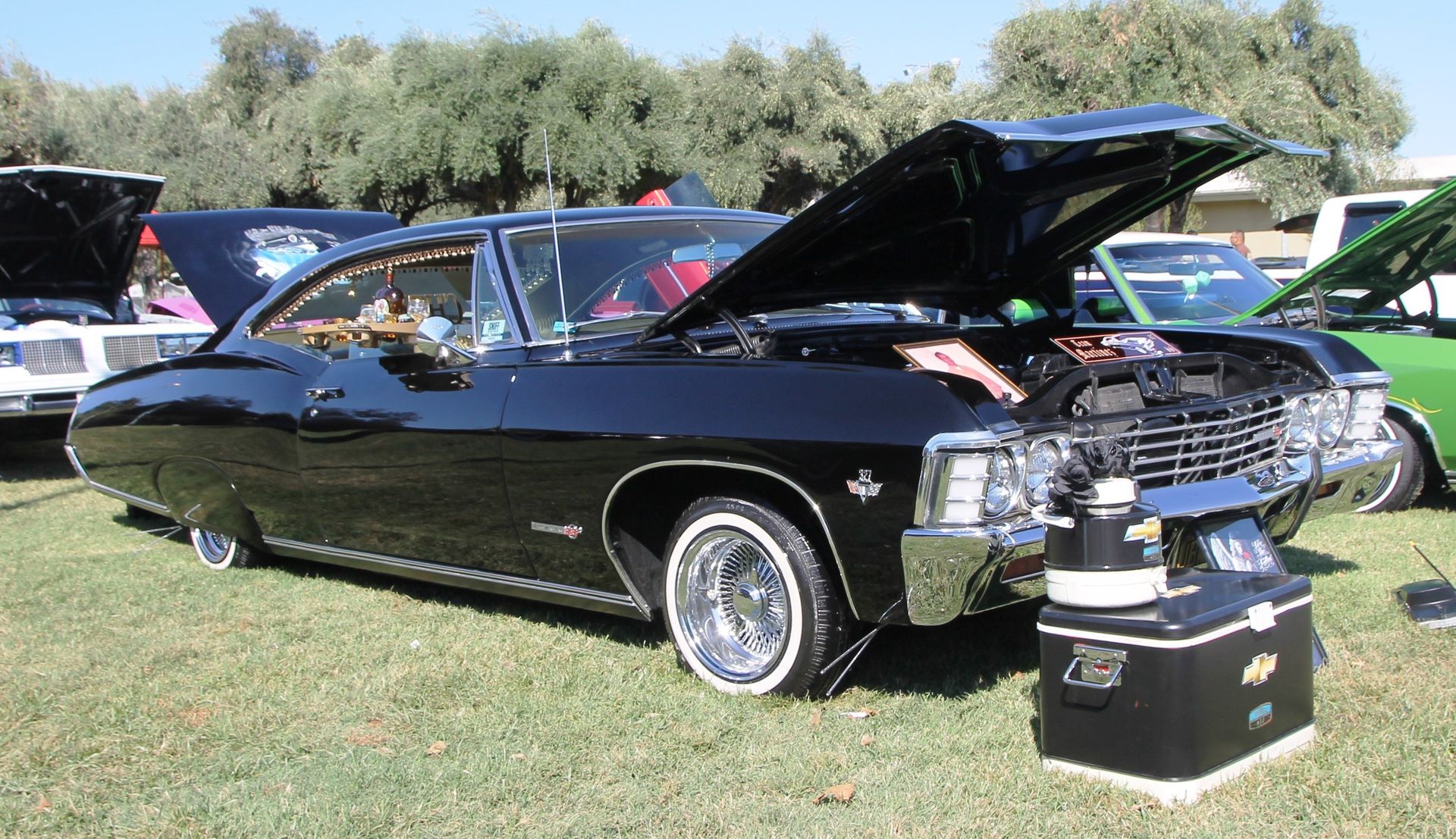 Full View