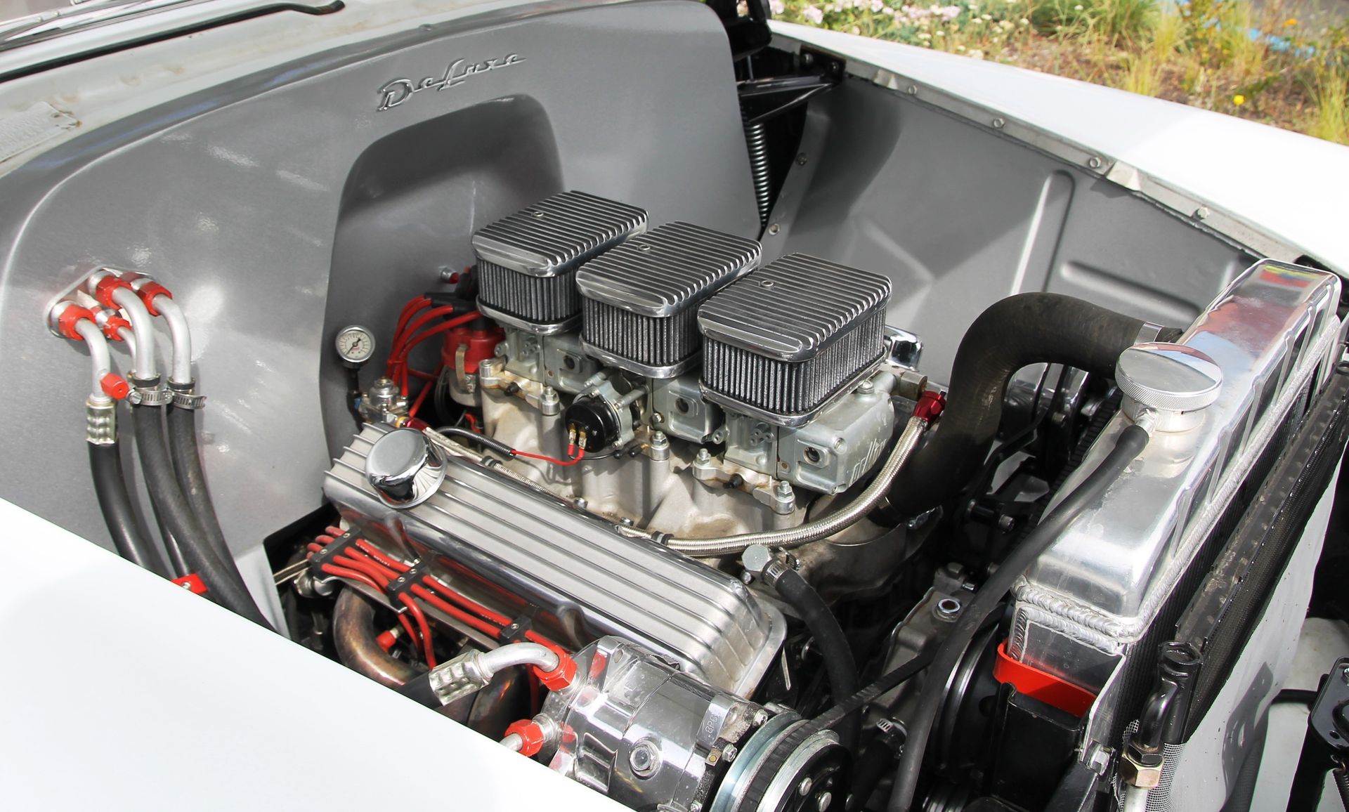 Full View