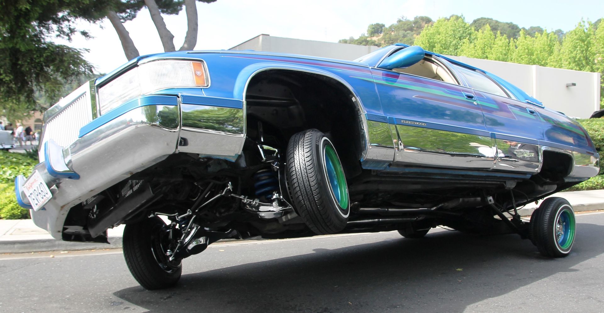 Full View