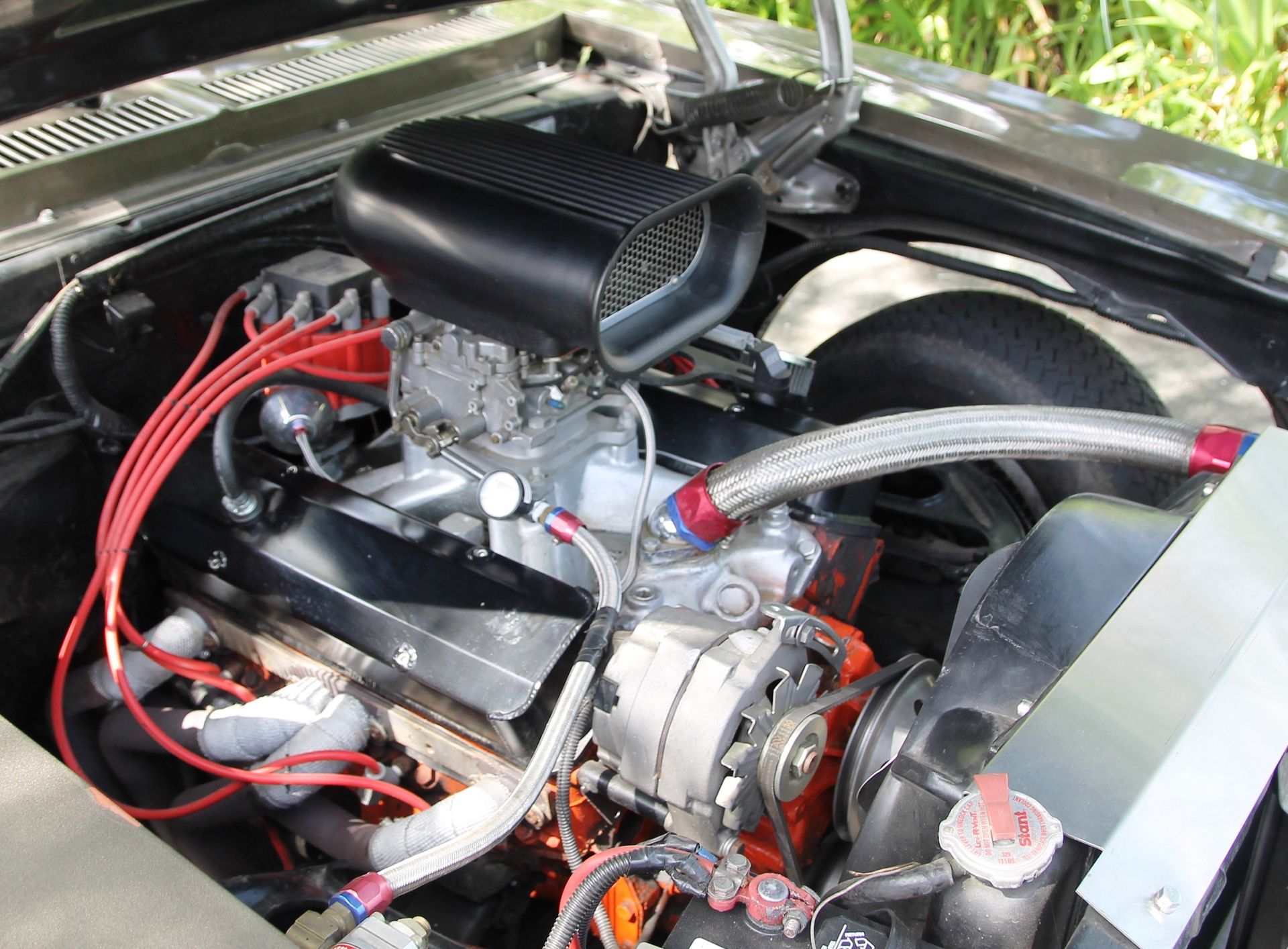 Full View