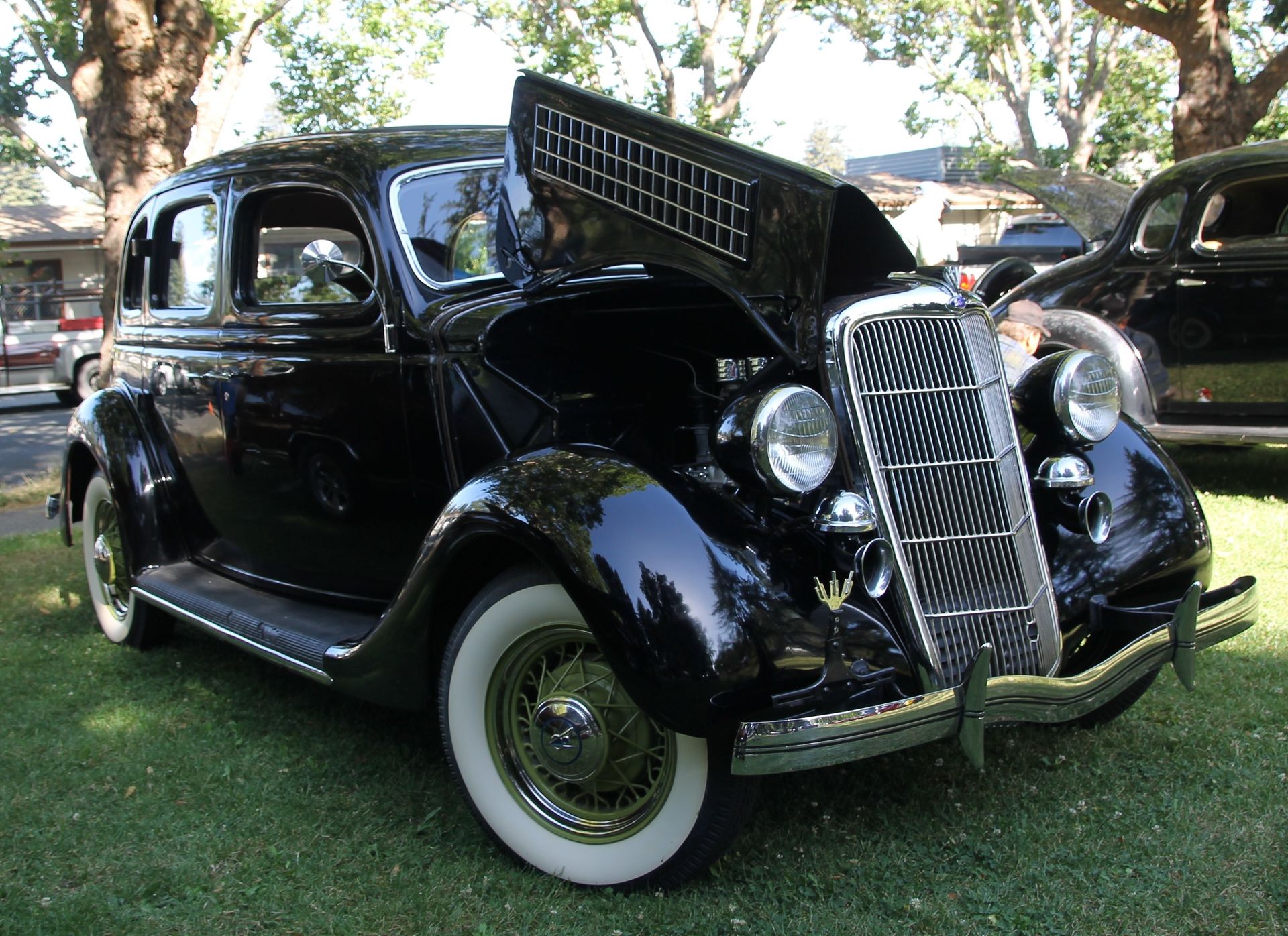 Full View