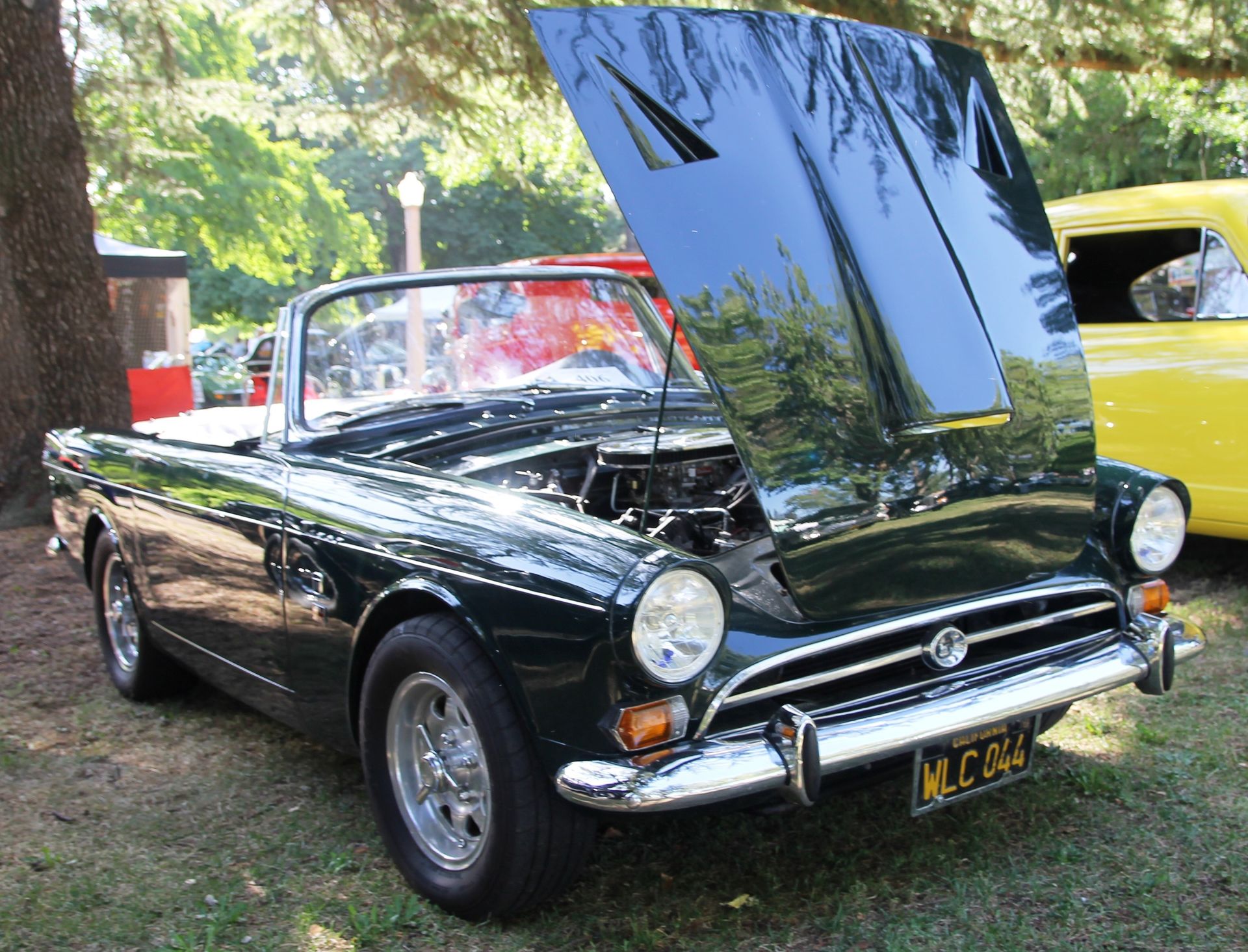 Full View