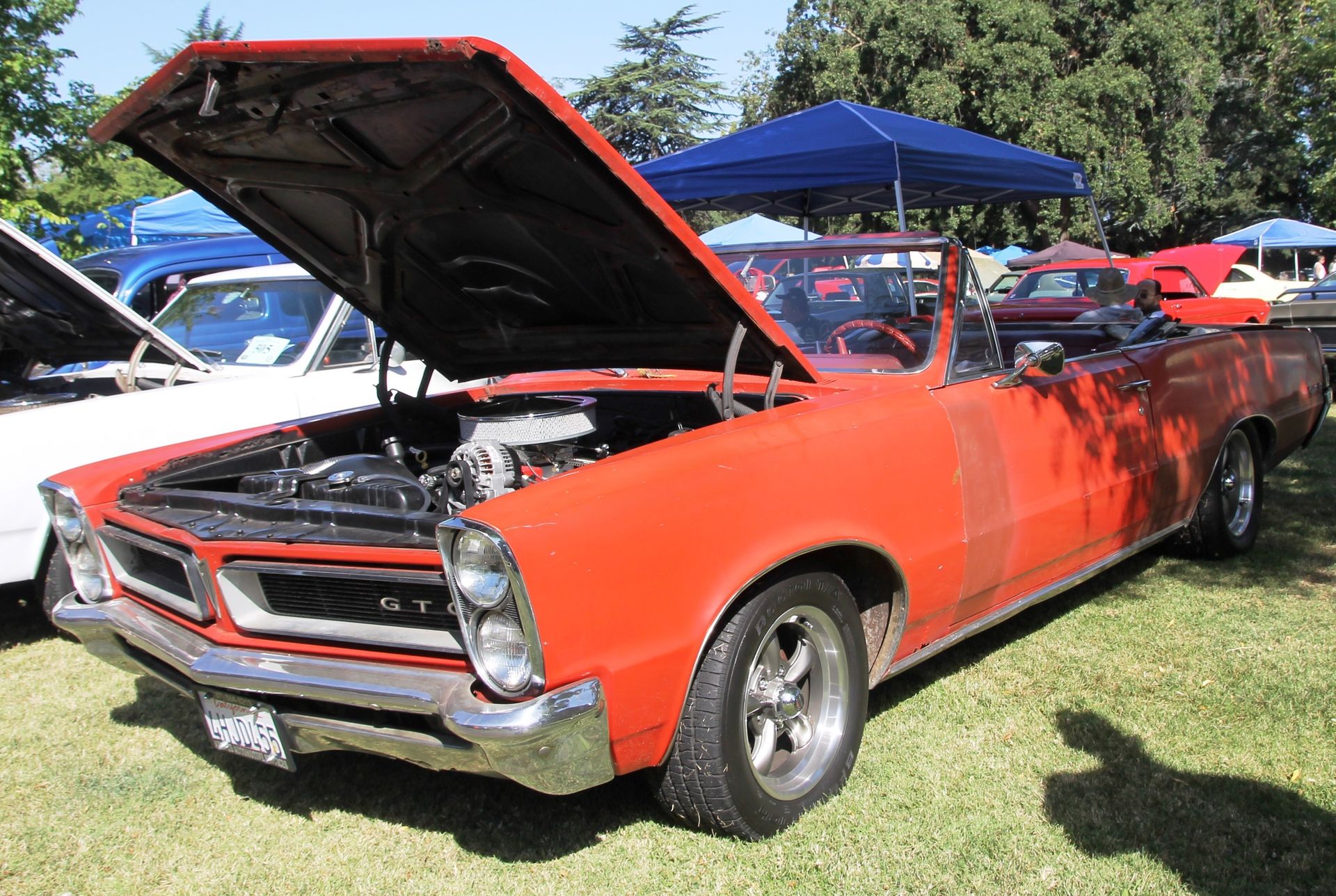 Full View