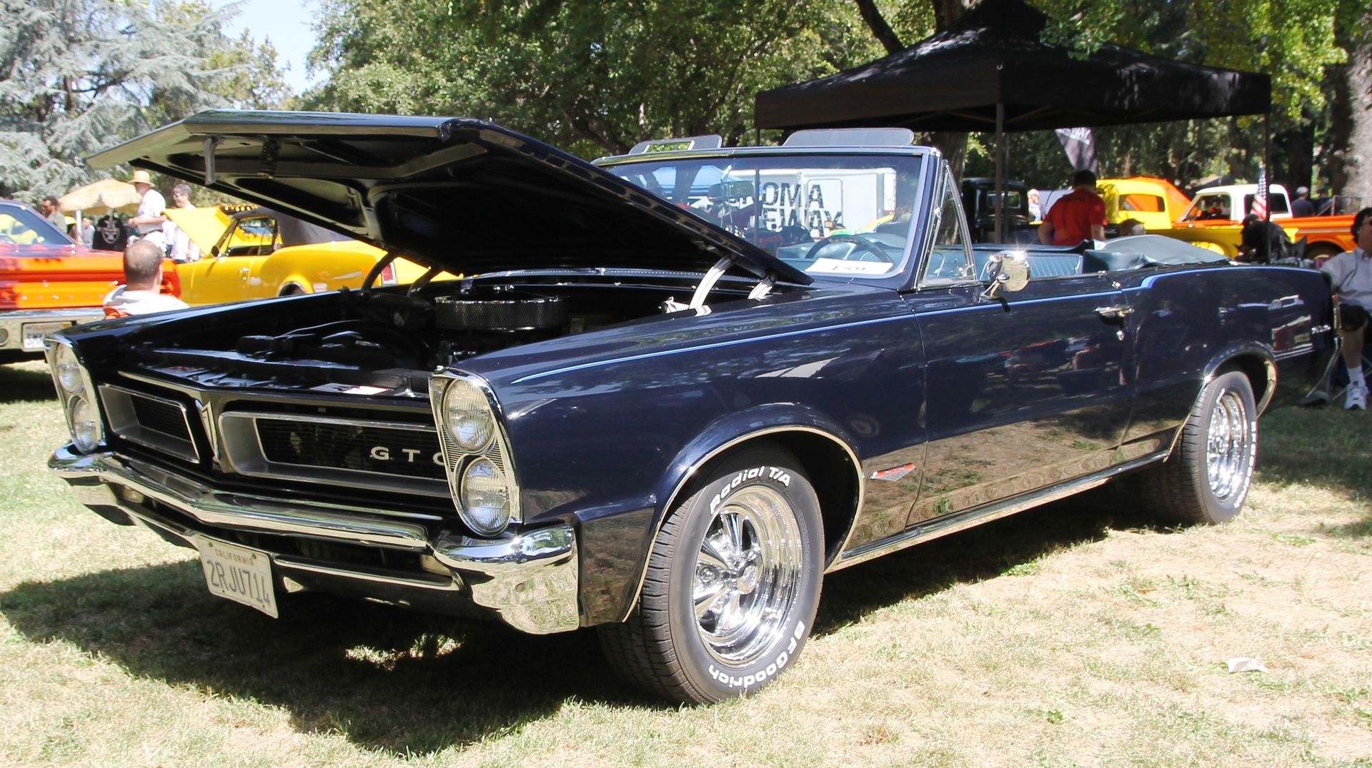 Full View
