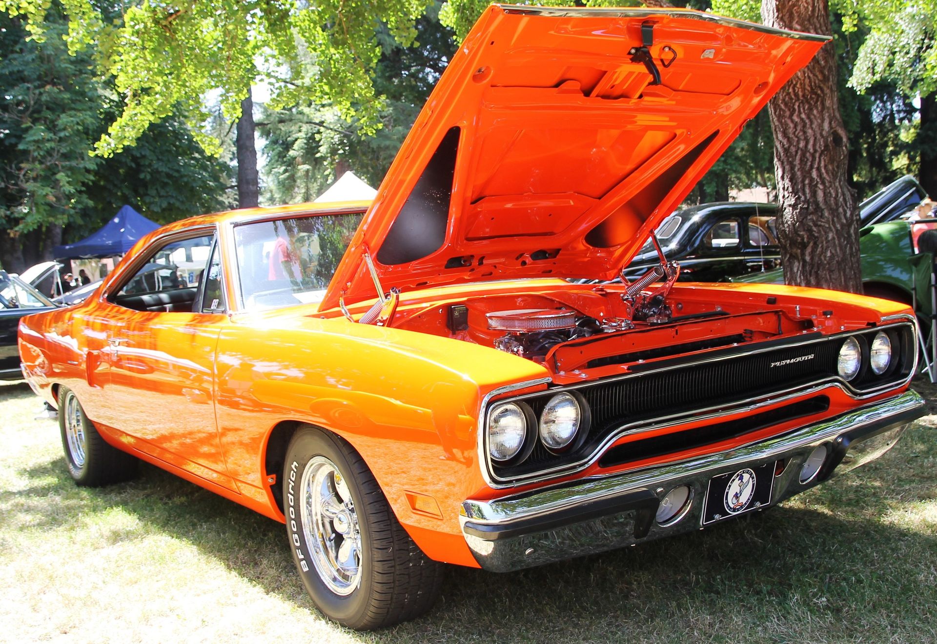 Full View